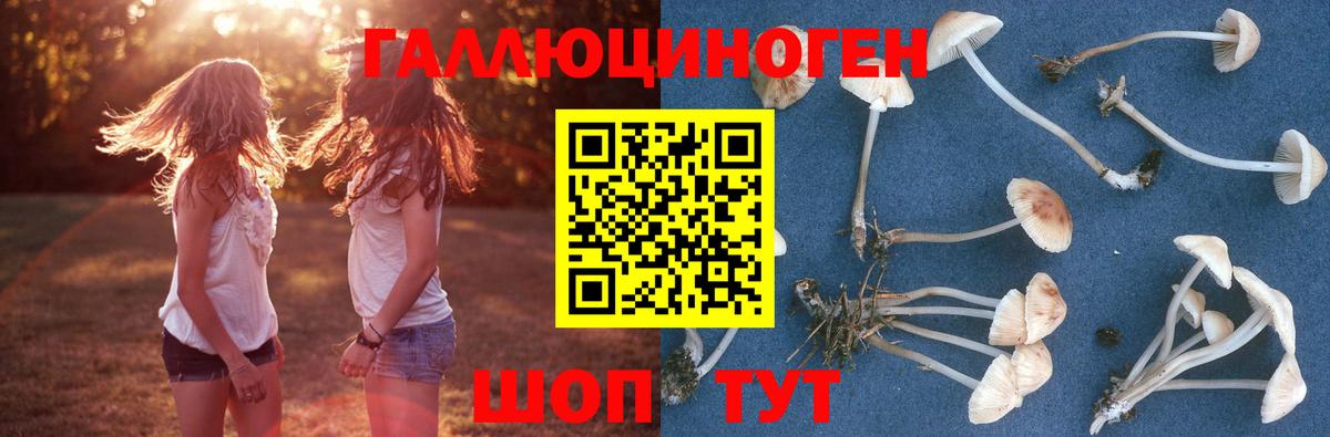Псилоцибиновые грибы Magic Shrooms Алексеевка
